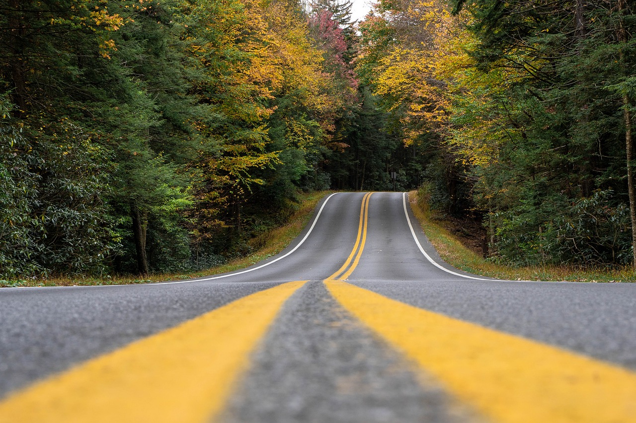 road, landscape, autumn